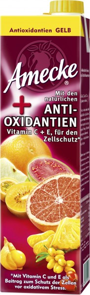 Bild von Amecke + Antioxidantien gelb 1L